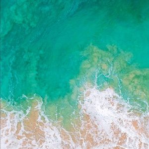 Meet your Posher, Jess